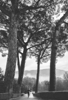 Antonio Berardo Fotografo - photographer - wedding - matrimonio - scucivo - caserta -